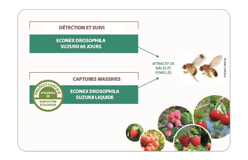 BIOCONTROL con las soluciones de ECONEX